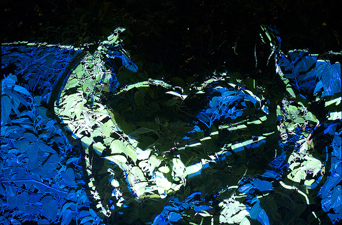 Achiles Luciano - Ala A14a